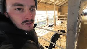 Doctoring Our Calf's Hoof!