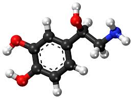 Pin On Neuropharmacology