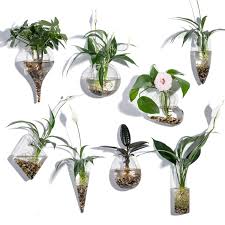 We did not find results for: Knikglass Set Of 8 Wall Hanging Planters Geometric Glass Terrariums Blown Glass Wall Vas Indoor Wall Planters Container For Plants Or Flowers Buy Online In Aruba At Desertcart 156367429