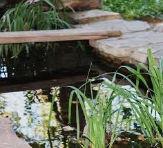 Save on pond & fountain pumps. How To Heat A Koi Pond Methods Costs Pond Informer