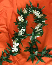 Hilo maile has long deep. Maile Style Ti Leaf Lei Wedding And Graduation Leis For Men