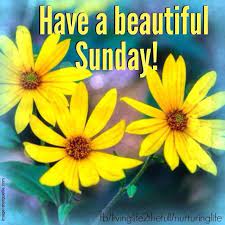 Maybe you would like to learn more about one of these? Have A Beautiful Sunday Quotes Quotesgram