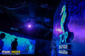 We did not find results for: 13 Unmissable Things To Do At The Top Komtar Penang In 2021 Penang Insider