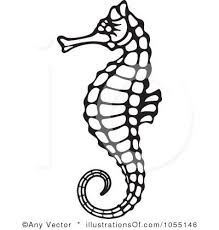 Seahorse Clip Art Free Clipart Panda Free Clipart Images Seahorse Drawing Seahorse Art Seahorse Outline