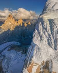 Image result for Memecylon torrei