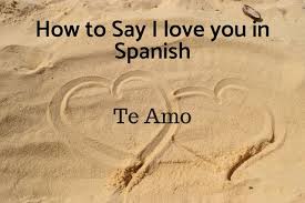 She gave the true account of what had happened. I Love You In Spanish I Love You My Love Love You