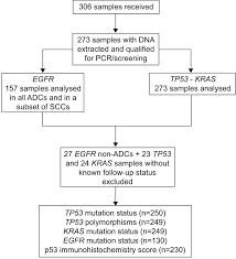 Prognostic Value Of Tp53 Kras And Egfr Mutations In