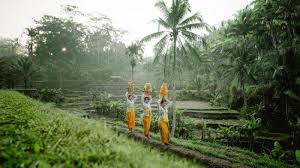 Subak merupakan organisasi yang mengatur sistem irigasi atau pengairan sawah. Subak Tribunnewswiki Com Mobile