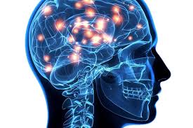 Encefalitis — (plural encefalitis) sustantivo femenino 1. Encefalitis