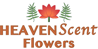 We did not find results for: Eagle Point Florist Eagle Point Or Flower Shop Heaven Scent Flowers Gifts