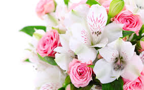 Pink flowers are a beautiful option for a variety of occasions — browse our collection of pink pink flowers are a great addition to bouquets, table arrangements, wedding decor and other floral pink flowers also pair really well with white flowers or red flowers with a pop of green, blue or purple for. Wallpaper A Bouquet Flowers Pink Roses White Orchids 2560x1600 Hd Picture Image