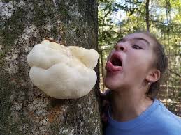 Security measures for uninvited guests at parties