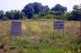 Unica in romania, rezervatia dunele marine din agigea trebuie sa se afle pe harta turistica a fiecarui roman. Ce GÄsesc Turistii La Mare Dunele Marine De La Agigea Singura RezervaÅ£ie De Acest Gen