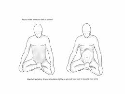 Posts About Meditation On The Accidental Yogi Sistema Nervioso Intestinos Abdomen