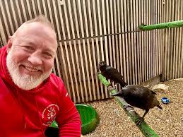 Chickens roaming freely in the morning