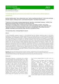 Image result for Tetradenia urticifolia