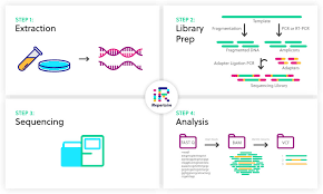 Nagasaki airport (iata airport code: Next Generation Sequencing Ngs Overview Irepertoire Inc