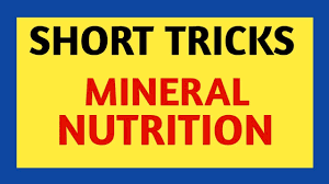 The main difference between macronutrients and micronutrients is that human body requires macronutrients in larger quantities whereas micronutrients are needed in smaller quantities. Tricks Mineral Nutrition Neet Mnemonics Class 11 Biology Ncert Micronutrients Macronutrients Youtube