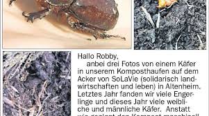 We did not find results for: Nashornkafer Im Kompost Baden Online Nachrichten Der Ortenau Offenburger Tageblatt
