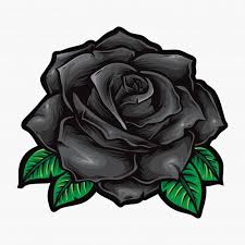 Black Roses Vector Flower Logo Black Flower Logo Roses Vector Black Rose Rose Tattoos Roses Drawing