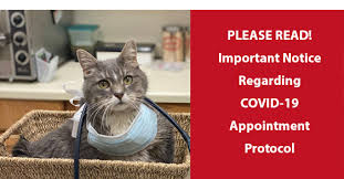 Please arrive 10 minutes early and text us when you arrive. Oakwood Pet Clinic