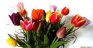 Beautiful animated card for your baby. Flower Gifs Images