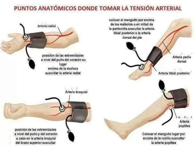 Resultado de imagen de lugares anatomicos para medir la presion arterial"