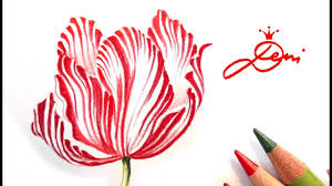 Magnolie Zeichnen Magnolia Drawing Illustration Blume Mit Illustratorin Denitza Gruber Youtube
