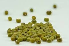 Mung bean - Wikipedia