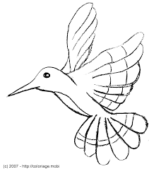 oiseau mouche gif 1811 2055 coloriage a imprimer hippocampe
