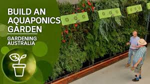 Learn the basics to start your own with our guide. Build Your Own Aquaponics Garden Youtube