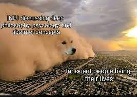 Infjhumor Funny Memes Animal Memes Best Memes