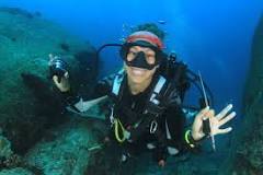Image result for what does an advanced open water course get me