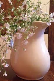 As soon as seedlings emerge, provide plenty of light on a sunny windowsill or grow. How To Grow Baby S Breath Gypsophila Elegans Farm And Dairy