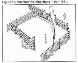 Cattle Pen Designs Related Keywords Cattle Pen Designs Ganado Corral Caballos