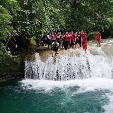 We did not find results for: Citumang Green Citumang Green Valley Pangandaran