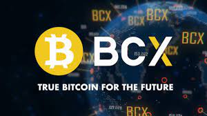 Bcx True Bitcoin For The Future Youtube