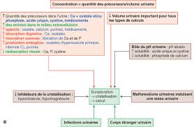 Urine qui sent tres fort. Lithiase Renale Des Mecanismes Au Traitement Medical Preventif Sciencedirect