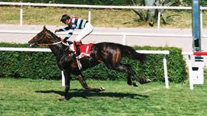 Gazi koşusu'nu da call to victory ile kazanarak elindeki rekoru geliştirmeyi başardı. Gozler 93 Gazi Kosusu Nda Bold Pilot In Rekoru Kirilacak Mi Boldmedya