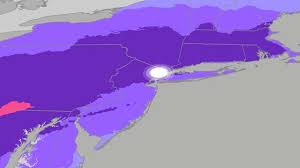 What New York City Can Expect From The Winter Storm