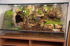5c5225a42e8ff1bfad7c9409d5b247f6 Jpg 640 427 Pixels Reptile Habitat Reptile Terrarium Gecko Terrarium
