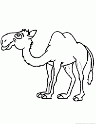 Camels are often referred to as ships of the desert as they are. Camel Pictures To Print Coloring Home