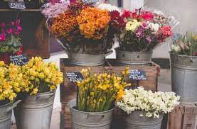 Flower gardeners spend countless hours tilling and tending to the soil. 9 Flowers To Grow In Hydroponics With Pictures