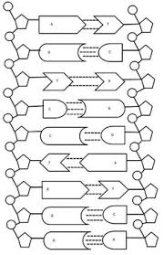 Dna Structure And Replication Worksheet Pogil Quizlet Pdf Below Are The Handouts Worksheets Study Guides Cloze Dna Activities Color Worksheets Dna Replication