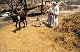 Threshing Floor Araunah Said Why Has My Lord The King Come To His Servant David Said To Buy The Threshing Flo Kings Of Israel Threshing Floor King David