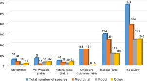Image result for Conostomium gazense