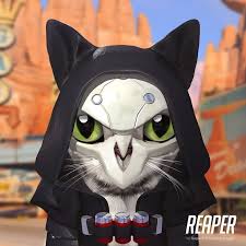 Overwatch But Instead Of People They Are Cats Overwatch Cats Overwatch Funny Overwatch