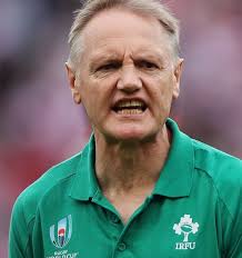 2019 Rugby World Cup: World Rugby admits three referee errors went against  Ireland in loss to Japan