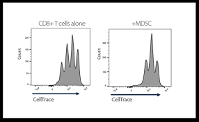 Immune Suppression Assays