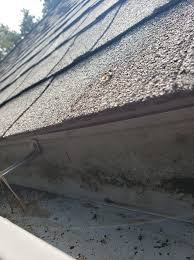 Nothing is more annoying than having to walk through a waterfall coming off your roof to reach the front door every time photo: Every Roof Needs Ice And Water Shield Digital Roofing Innovations